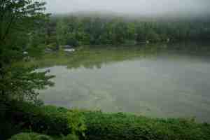 Dossier : Cyanobactéries - Algues bleues