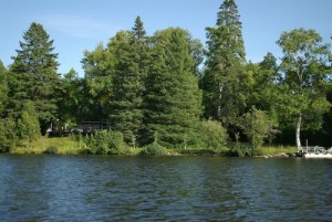 Plantation 2007 cas 2