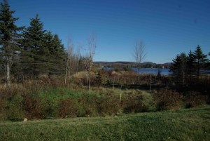 Plantation 2007 cas 3